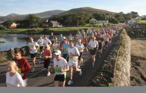 dingle half