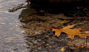 water's swirl - M22 on the way to Northport, MI fro Traverse City - 11-06-2015
