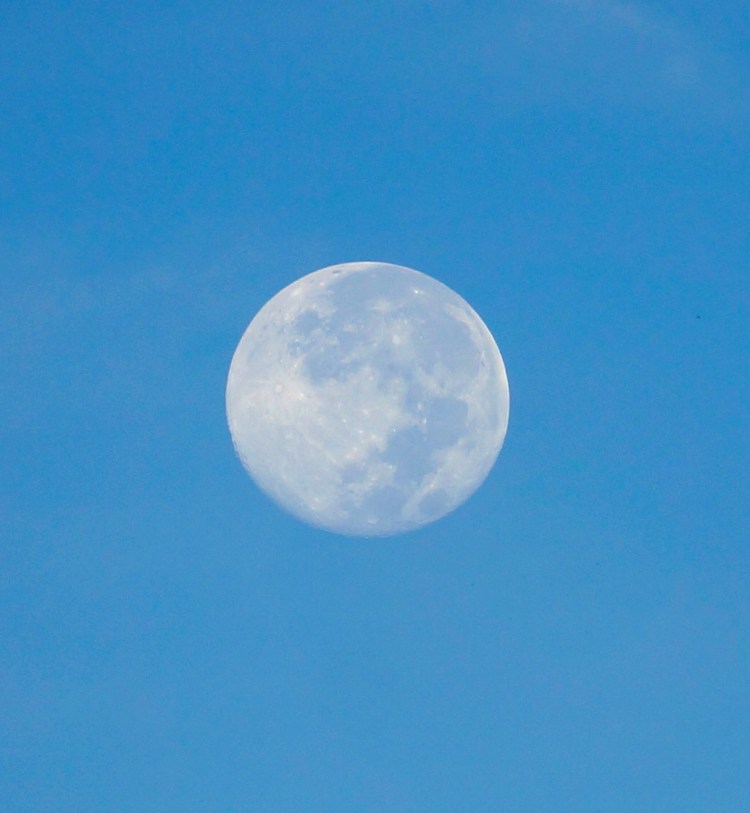 morning moon close up 