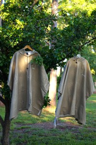 ponchos in the grapefruit tree