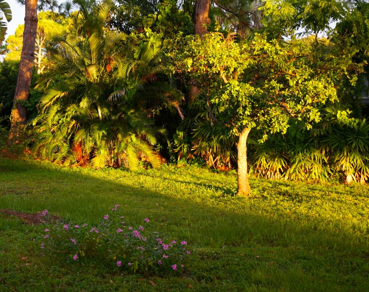 end of day - august 5. 2012