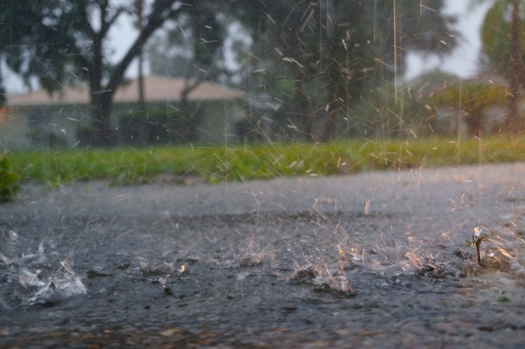 rain dance - 8/6/2012 - 7:00pm