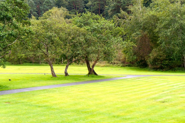 Glendalough labyrinth