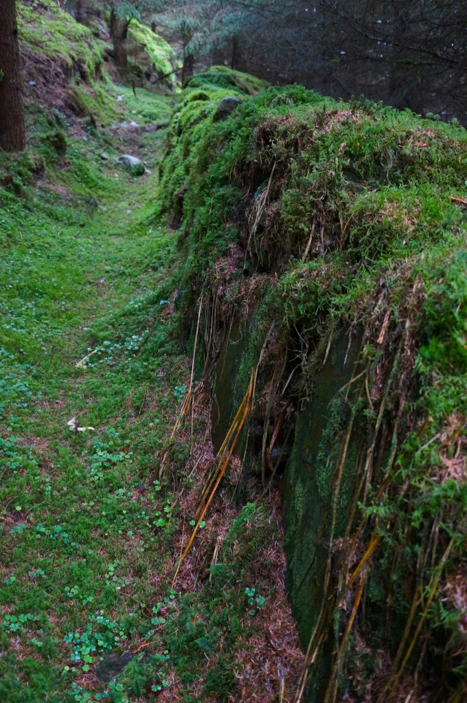 ancient wall high in the Glendalough Valley