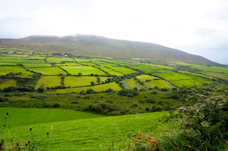 Dingle Peninsula farmland