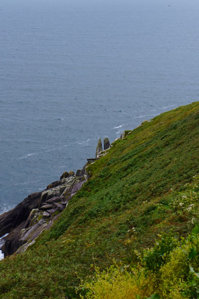Dingle Bay - just out of Dingle