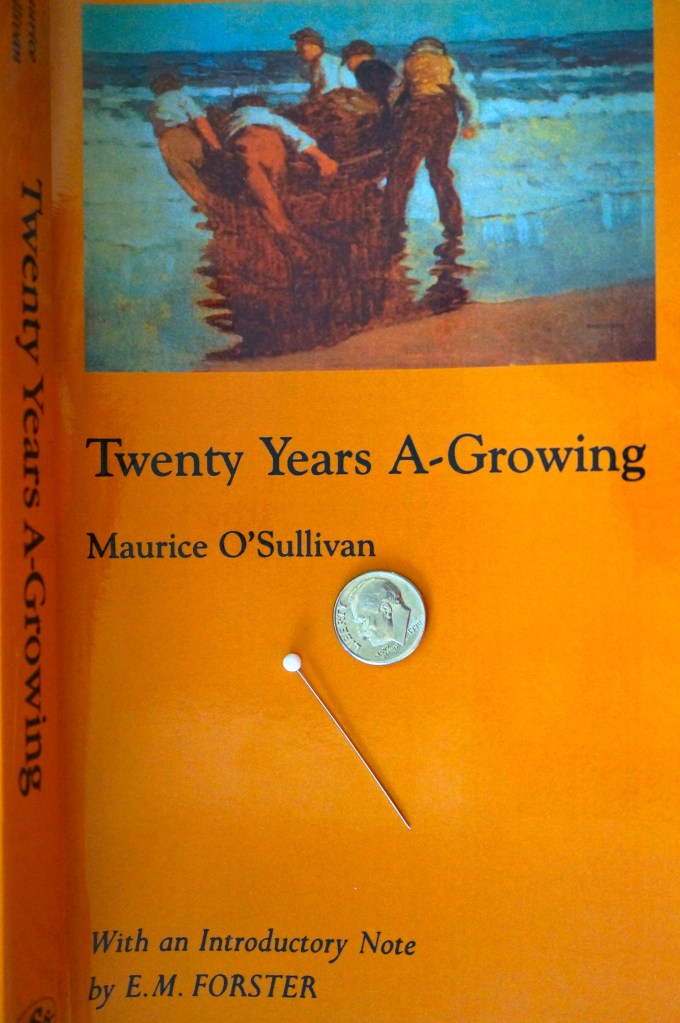 The size of a pin head