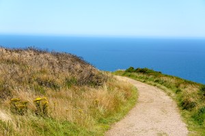 Upper Cliff Walk - Howth