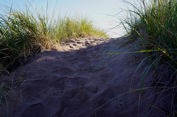 pathway to the beach