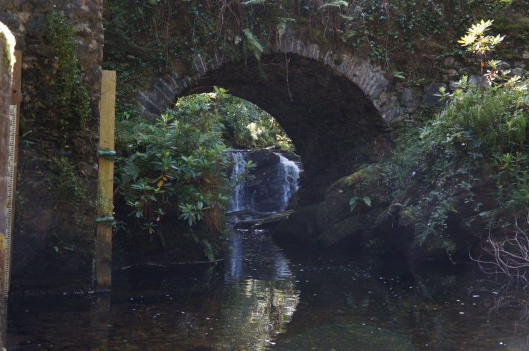 window for the falls