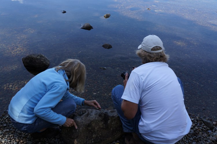 the clarity of the lake