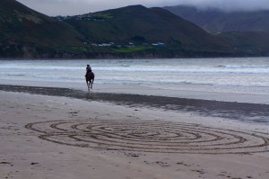 galloping horse - Rossbeigh