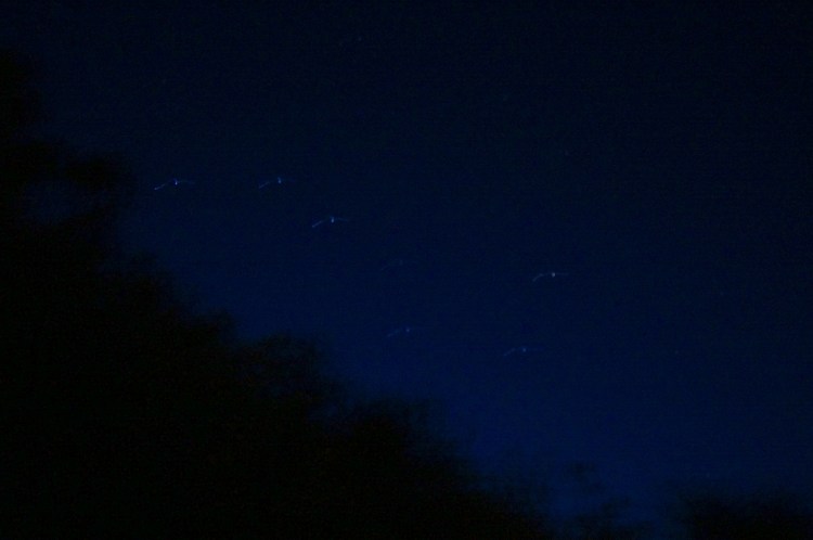big dipper