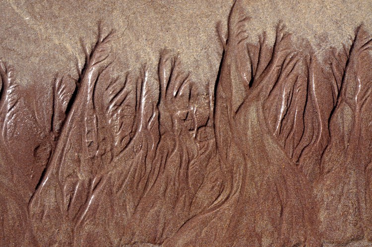 sand patterns from the tide's ebb