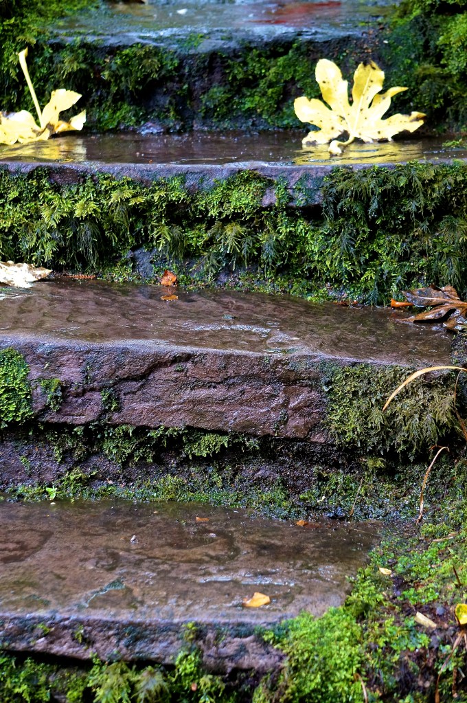 steps in the Kells garden