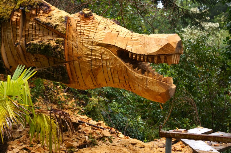 wild thing in the Kells garden