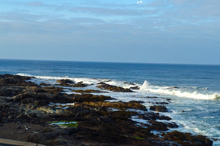 Yachats coastline from the Adobe Resort Loft
