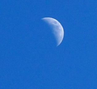 the half moon