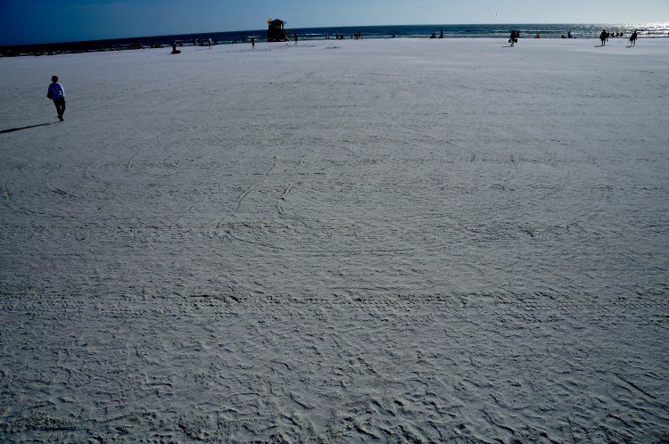 remnants of a siesta labyrinth - 10-26-2012