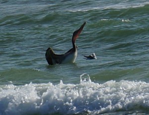 yep . . . fishing is good