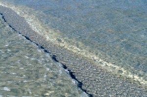 pretty patterns as the tide goes out