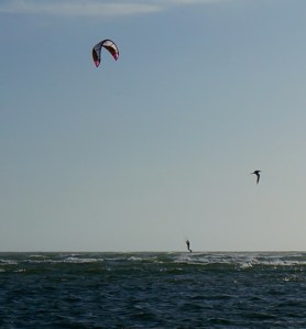 an adult soaring with his kite