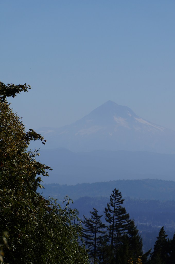 Mt. Hood