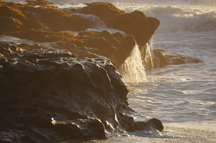 running back to the sea