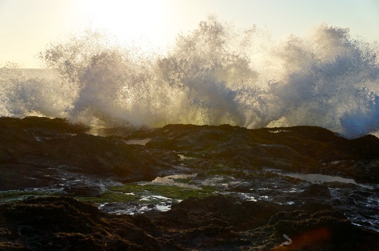 SPLASH