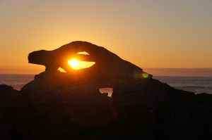 sunset over the water and through driftwood