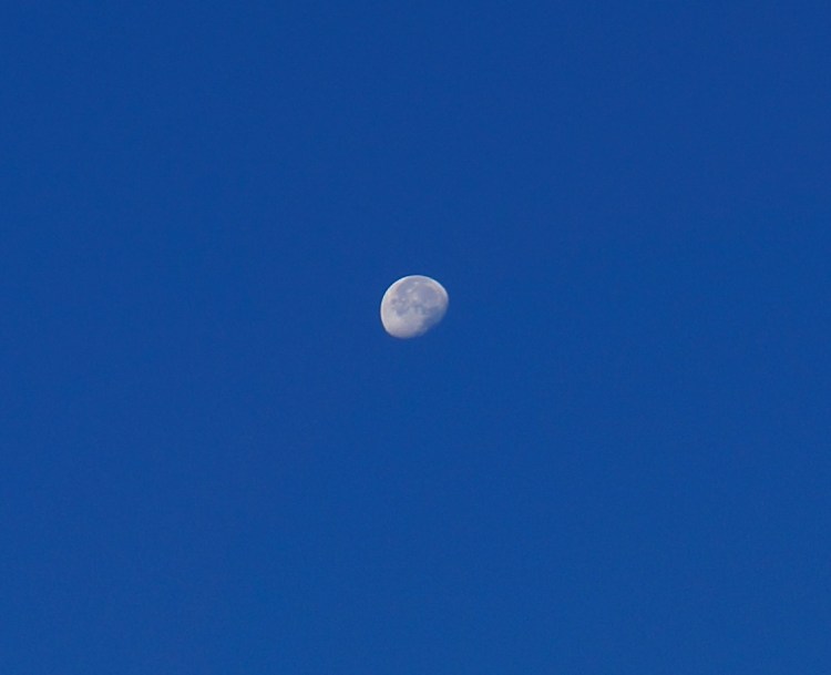 waning morning moon