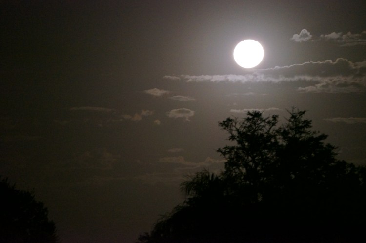 Beautiful moon tonight