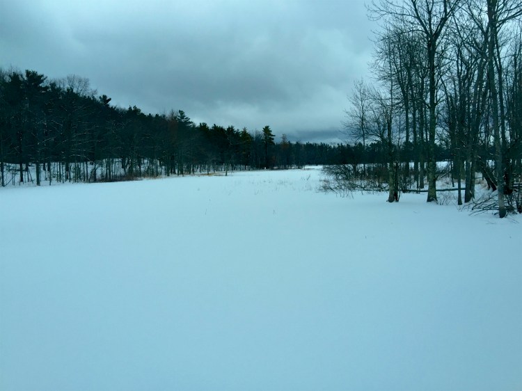 Kehl Lake - January 22, 2016.jpg