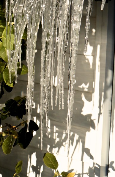 icicles and shadows - April 9, 2016