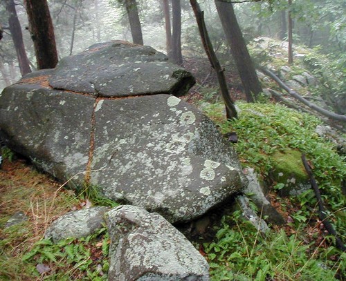 2y76fymu5uck84n1jfg5