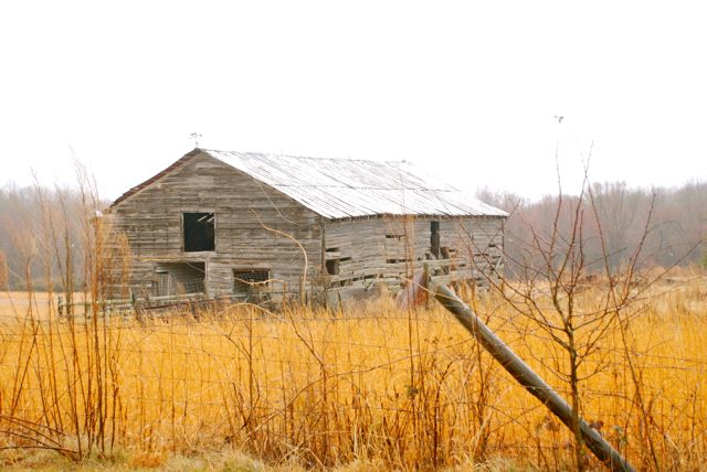 6a00d8345197c969e20168e5eff8be970c-800wi